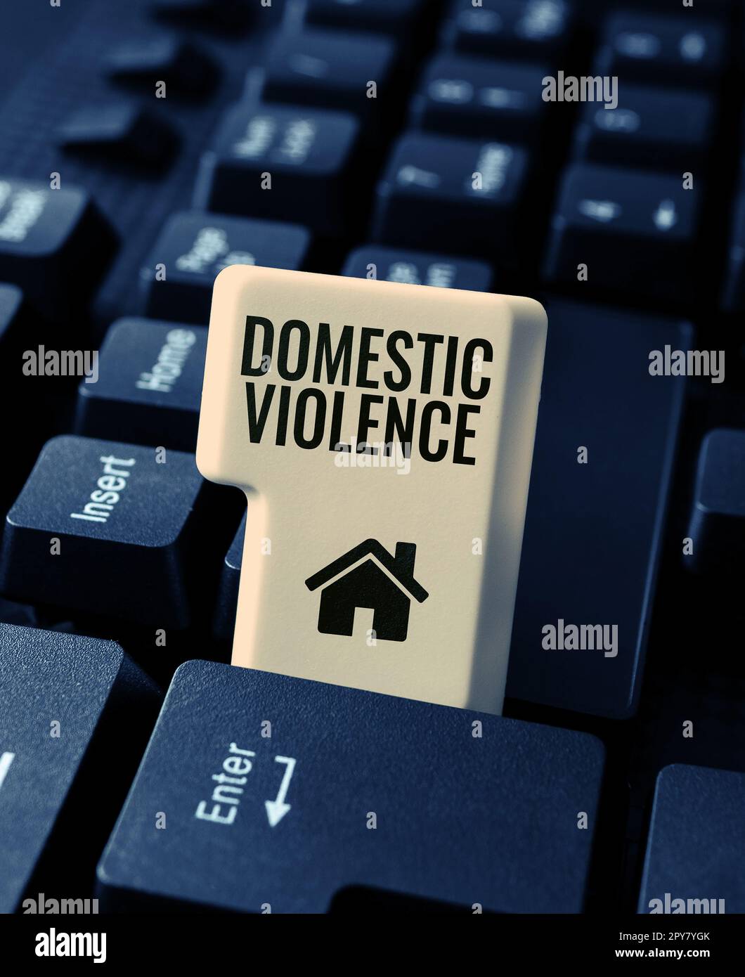 Schild mit häuslicher Gewalt. Geschäftsansatz gewalttätiges oder missbräuchliches Verhalten, das von einem Familienmitglied oder Haushaltsmitglied geleitet wird Stockfoto