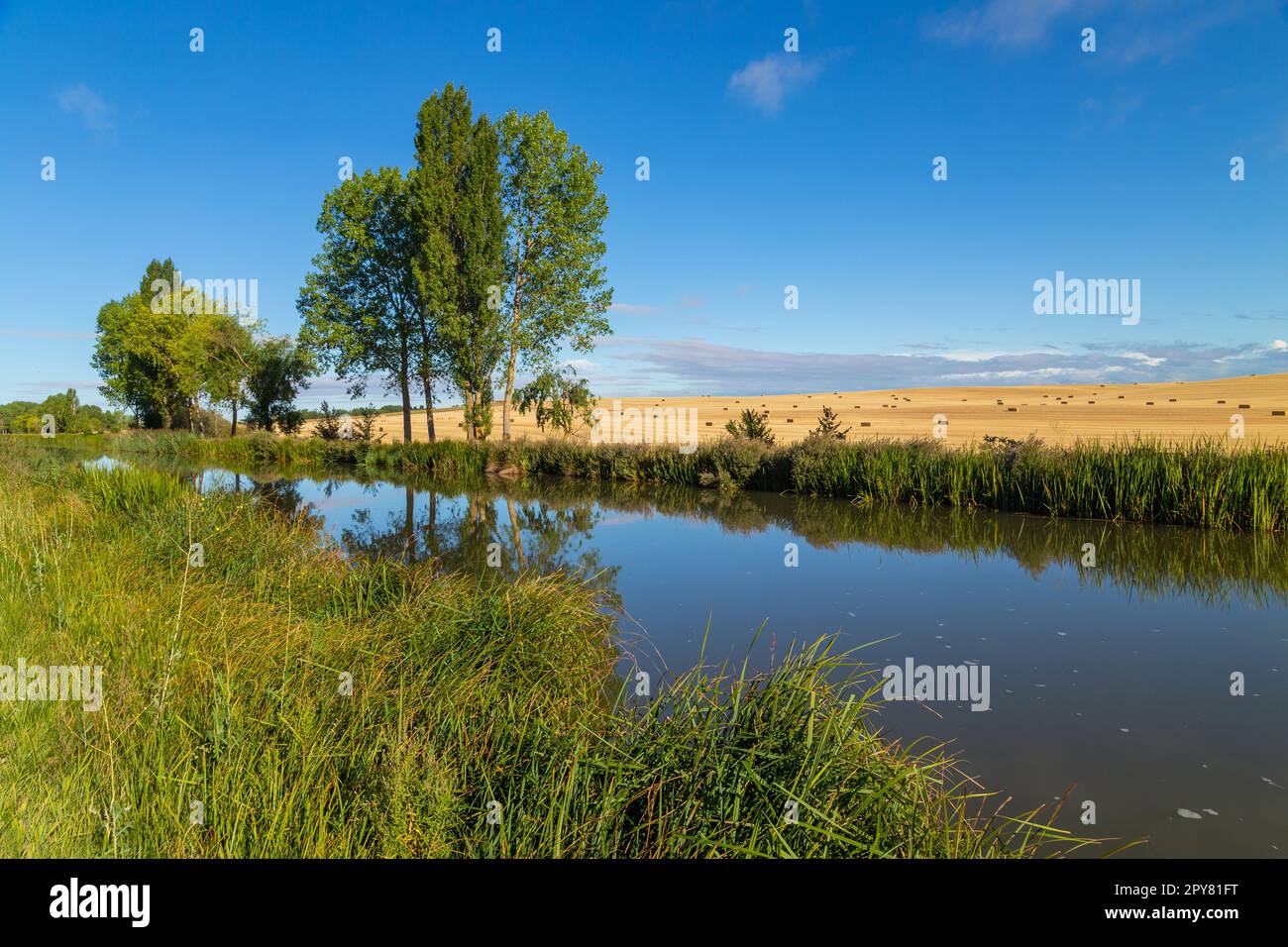 Kleiner Fluss und Felder Stockfoto