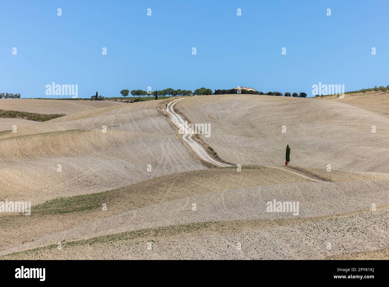 Die ländliche Landschaft in der Nähe von San Quirico in der Toskana. Stockfoto