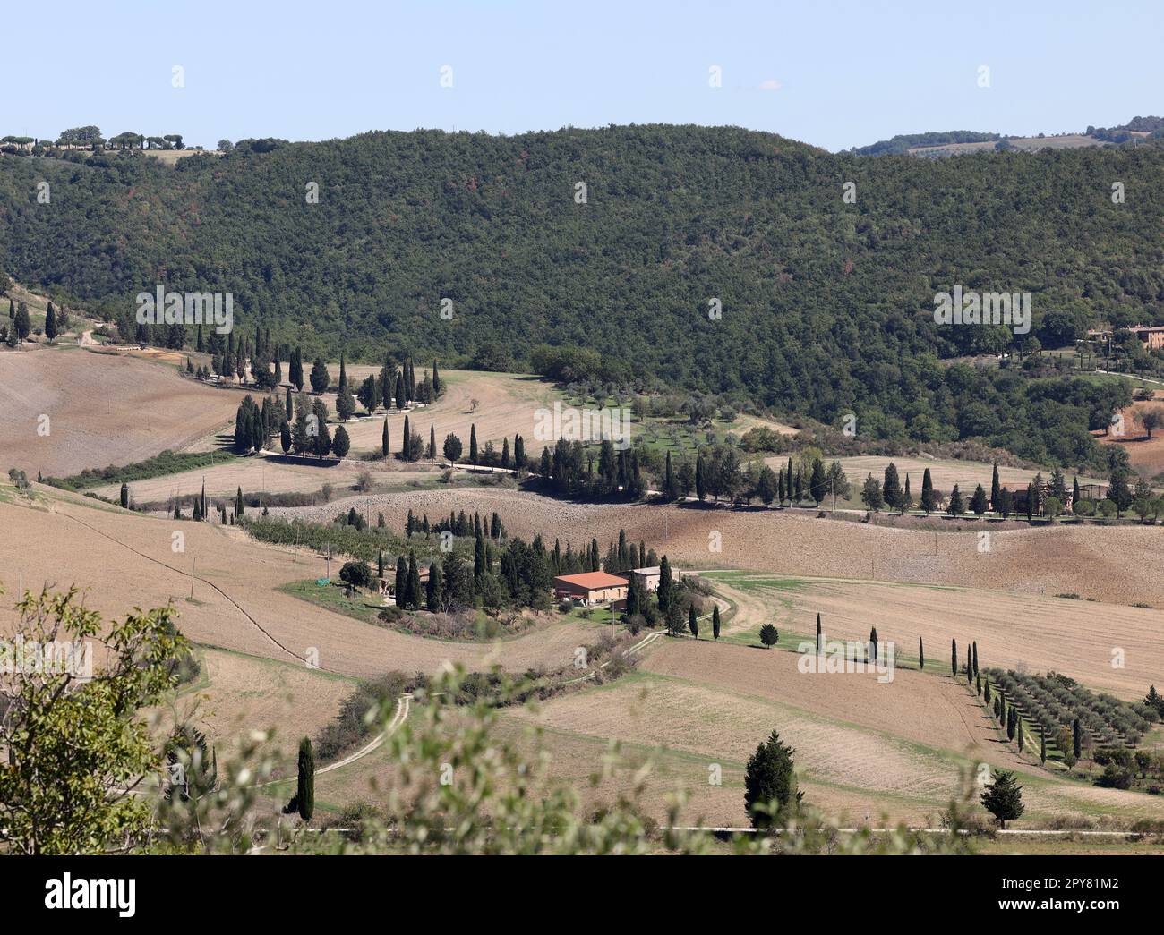 Die ländliche Landschaft bei Pienza in der Toskana. Italien Stockfoto