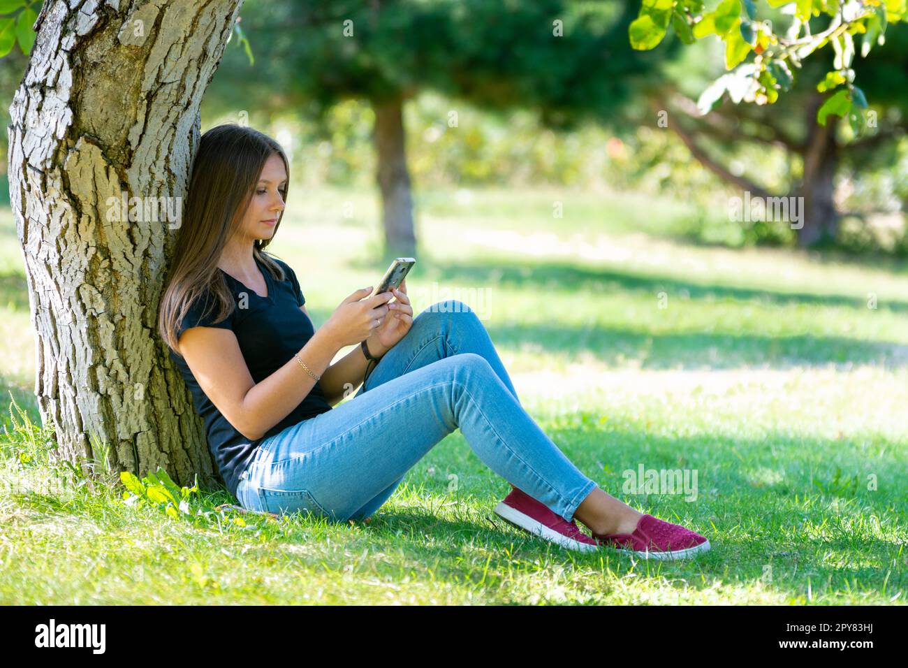 Ein Mädchen sitzt unter einem Baum in einem sonnigen Park und schaut auf den Smartphone-Bildschirm Stockfoto