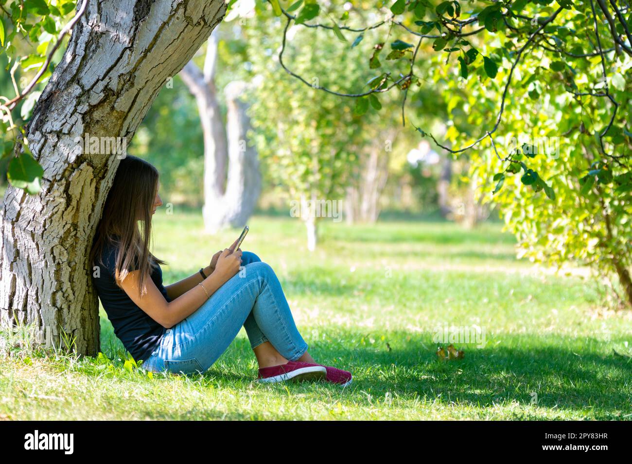 Ein Mädchen sitzt unter einem Baum in einem sonnigen Park und schaut auf den Telefonbildschirm Stockfoto