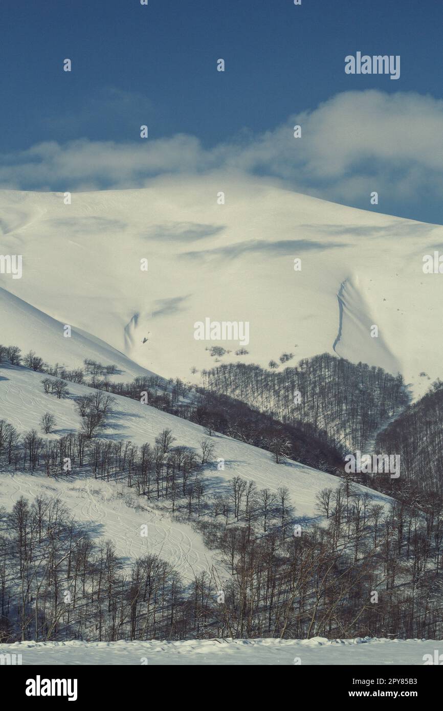 Schneebedeckte Berglandschaft Foto Stockfoto