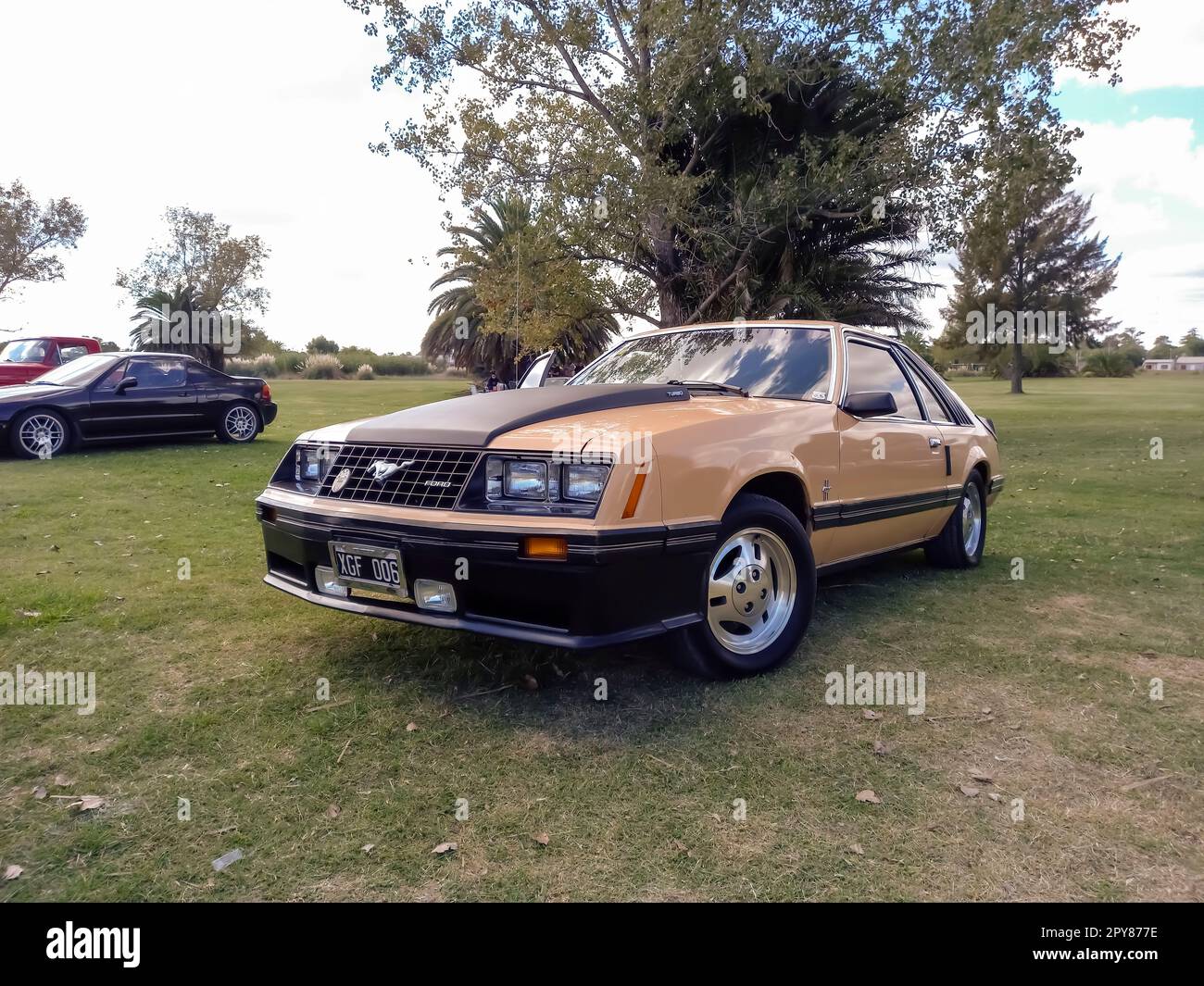 Sportwagen 1980er Ford Mustang Turbo Coupé auf dem Rasen. Natur, Gras, Bäume. Sonniger Tag. CAACMACH 2023 Show. Stockfoto