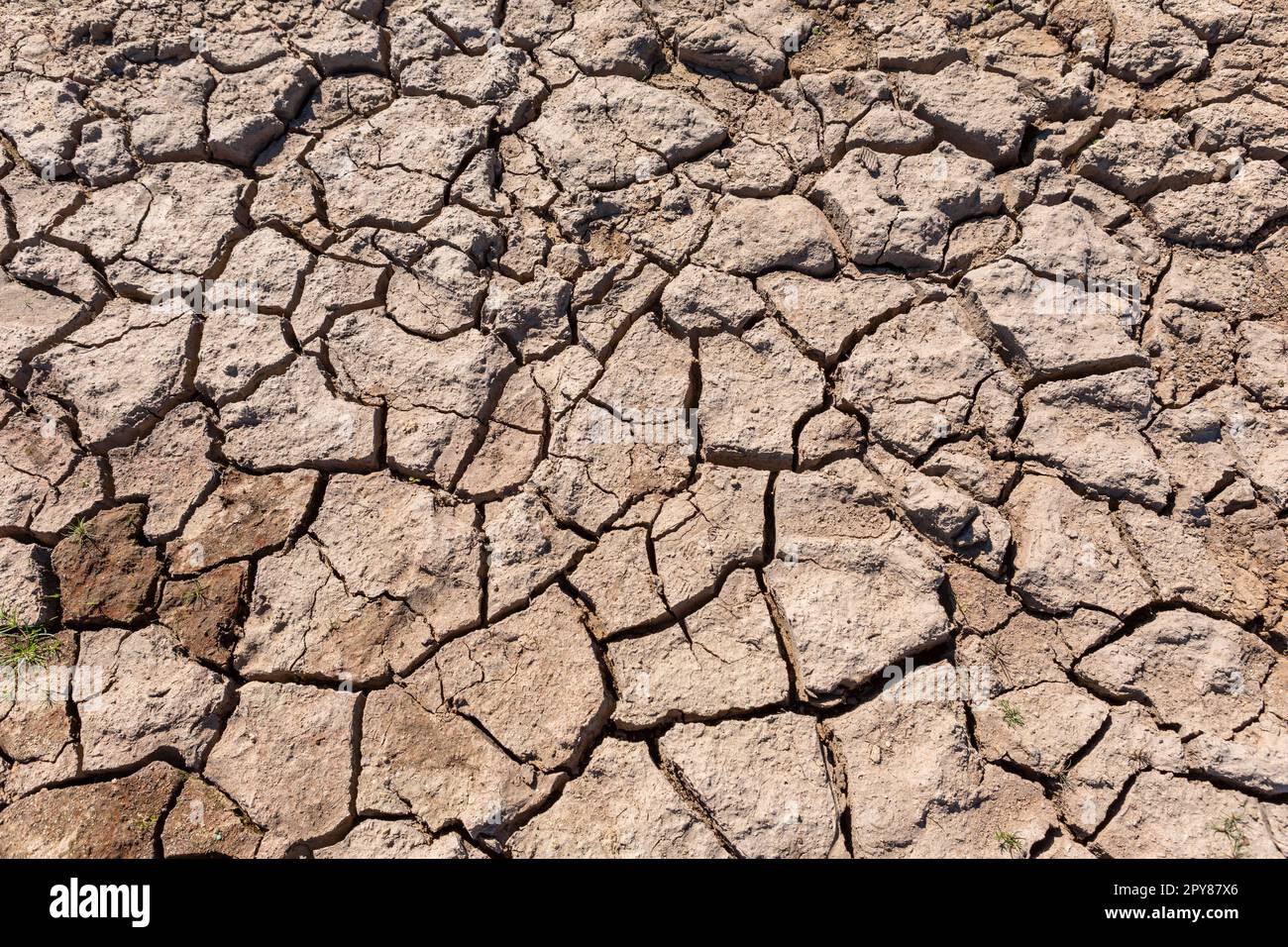 Gerissene trockene Struktur des Bodens Stockfoto