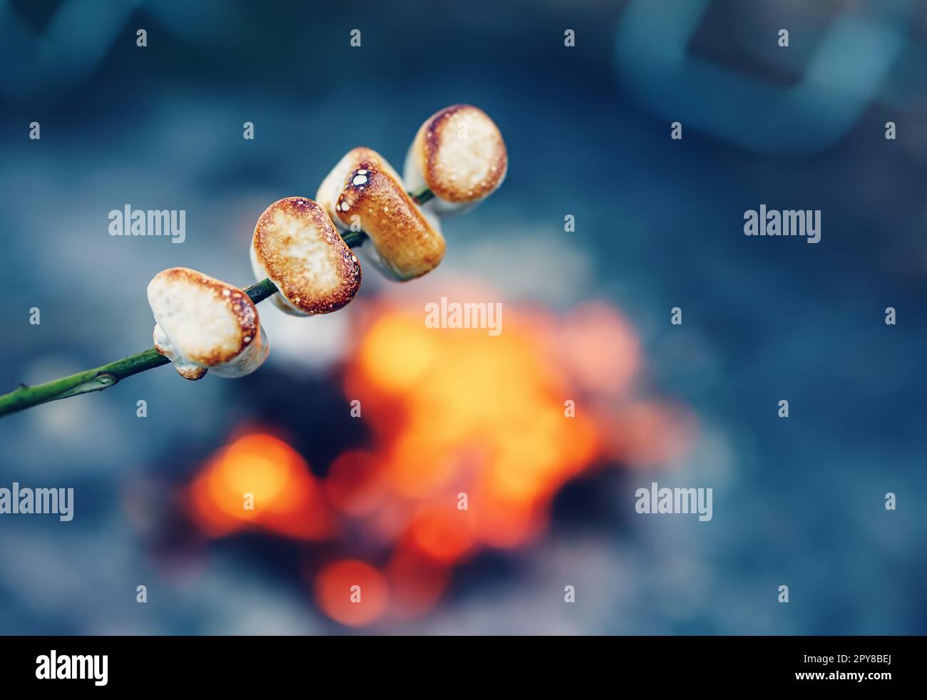 Nahaufnahme des gerösteten Marshmallows auf dem Stock über dem Feuer. Stockfoto
