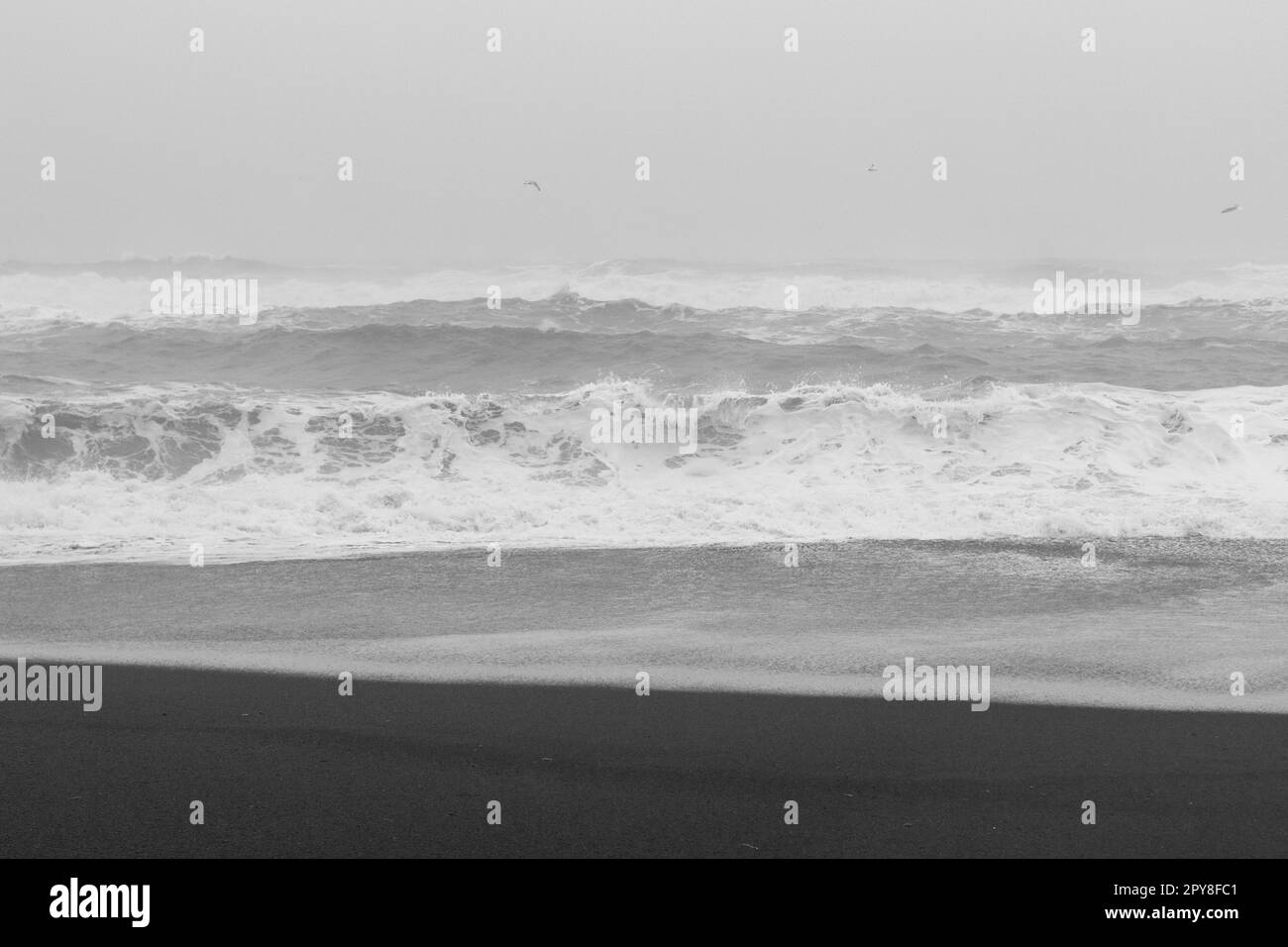 Foto der einfarbigen Landschaft am Meeresstrand bei Sturm Stockfoto