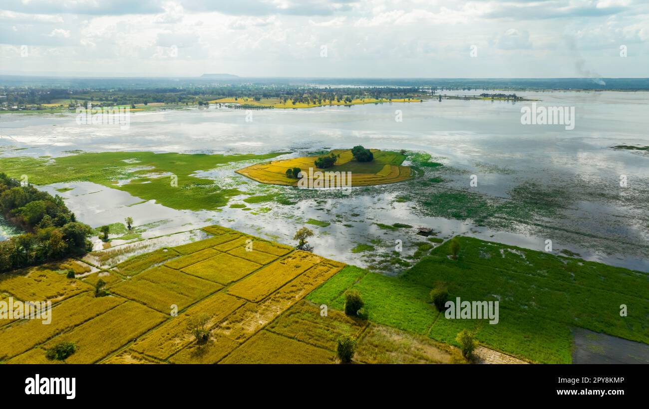 Natürlicher Wasserbehälter. Nachhaltigkeit der Wasserressourcen. Landschaft mit grünem Grasfeld und Reisfarm. Süßwasser für den menschlichen Gebrauch und zur Verwendung in der Landwirtschaft. Weltwassertag. Konzept der natürlichen Kohlenstoffabscheidung. Stockfoto Natürlicher Wasserbehälter. Nachhaltigkeit der Wasserressourcen. Landschaft mit grünem Grasfeld und Reisfarm. Süßwasser für den menschlichen Gebrauch und zur Verwendung in der Landwirtschaft. Weltwassertag. Konzept der natürlichen Kohlenstoffabscheidung. Stockfoto