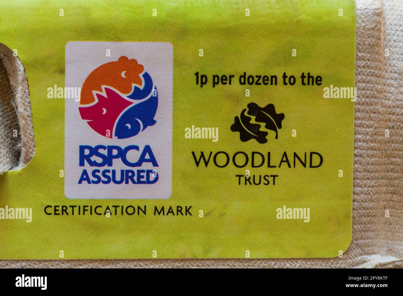 RSPCA-zertifiziertes Siegel und 1p $ pro Dutzend an The Woodland Trust - Details auf Karton mit 6 großen britischen Freilandeiern von Sainsbury's Stockfoto