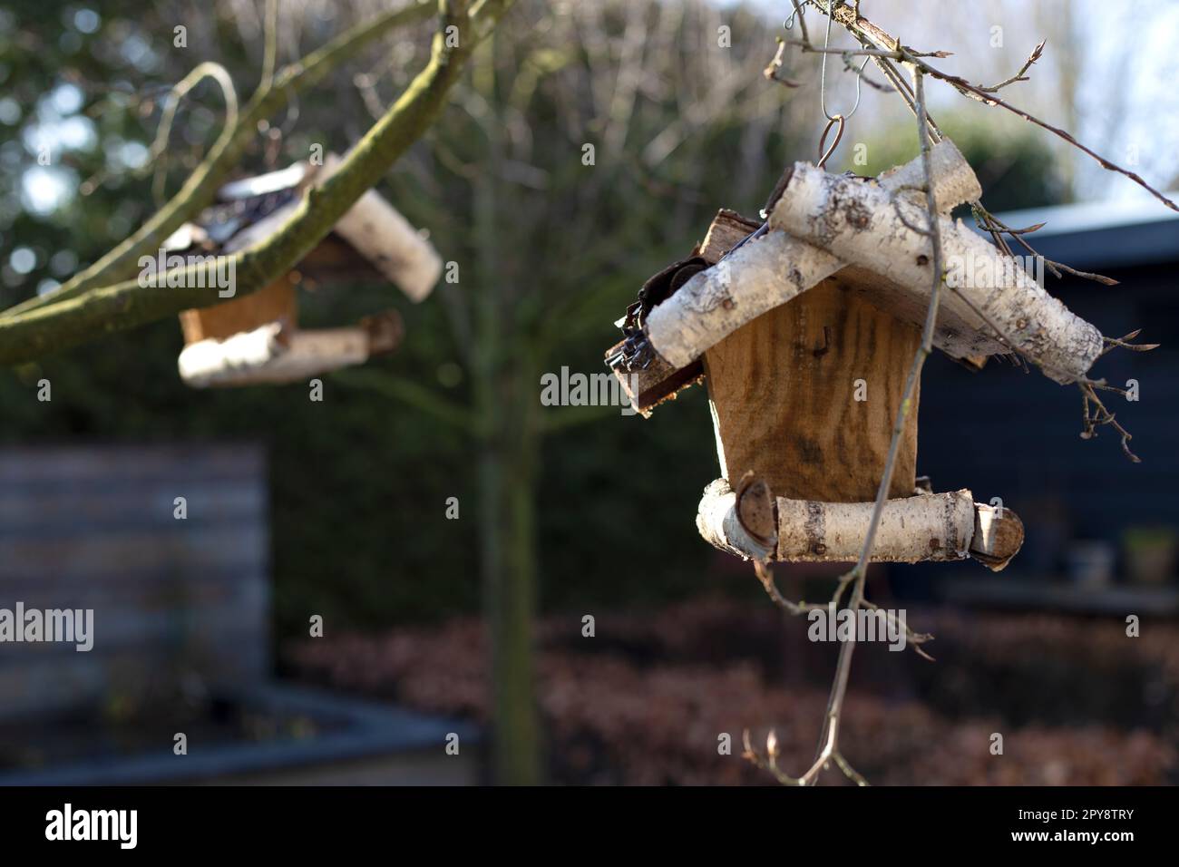 Vogelhaus aus Holz für Vögel auf einem Baum im Park, Garten aus nächster Nähe handgemachtes Haus für Vögel im Naturwald, Frühlingskonzept Stockfoto