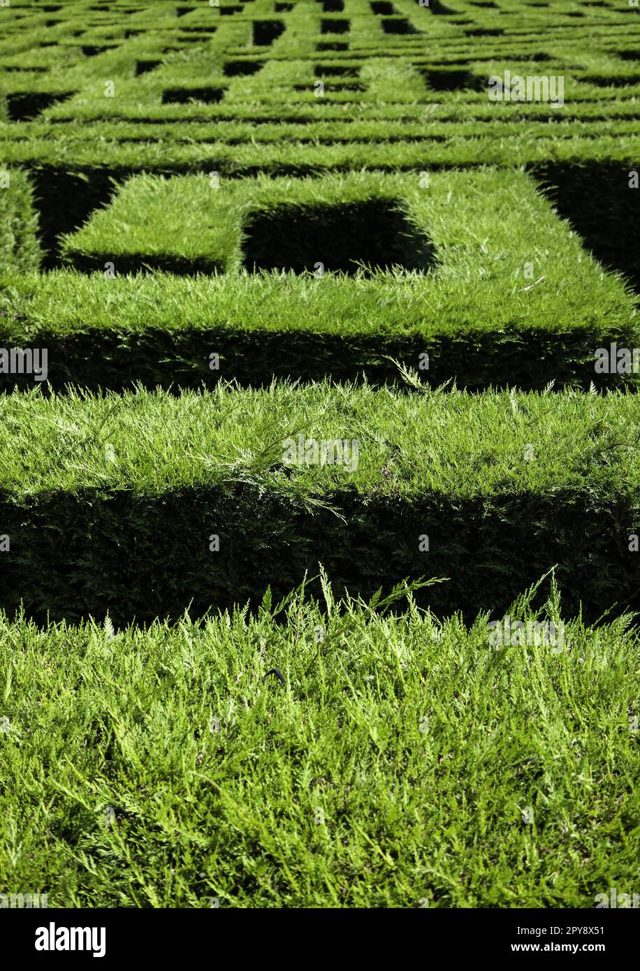 Ein Labyrinth in der Natur Stockfoto