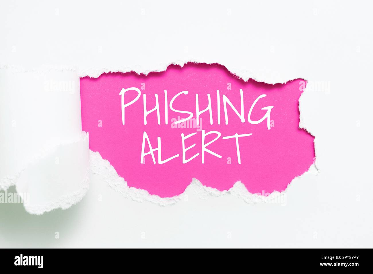 Schild mit Phishing-Alarm. Internetkonzept, das sich des betrügerischen Versuchs bewusst ist, an vertrauliche Informationen zu gelangen Stockfoto