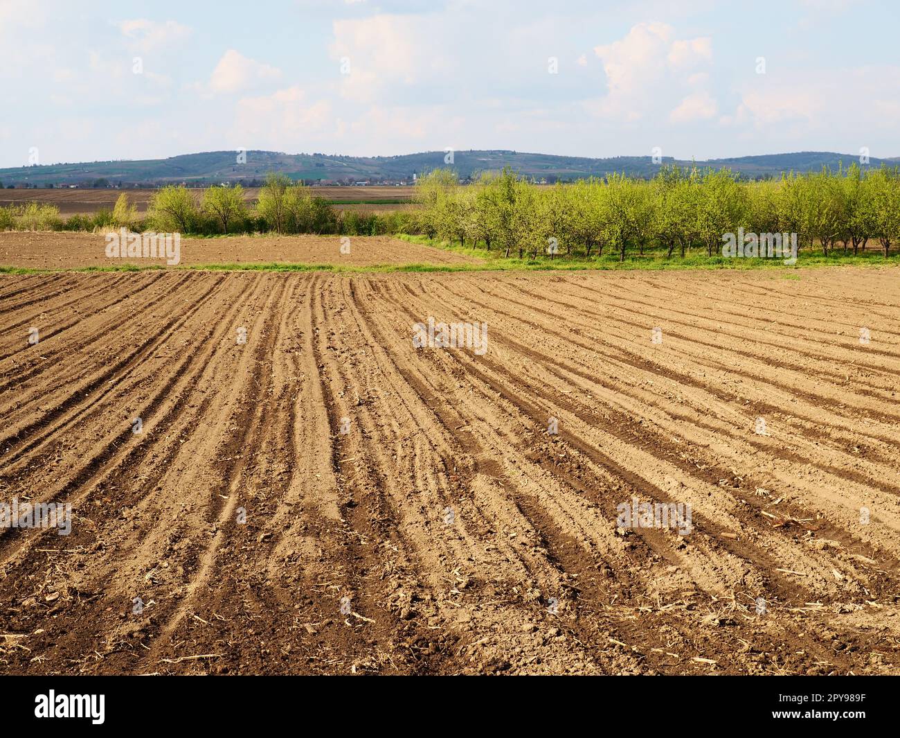 Landschaft mit landwirtschaftlich gepflügten Flächen, die für die Ernte vorbereitet sind. Landwirtschaftliche Landschaft, Ackerland für temporäre Kulturen, die gepflügt und für den Anbau von Kulturen genutzt werden können. Serbien Sremska Mitrovica, Fruska gora Stockfoto