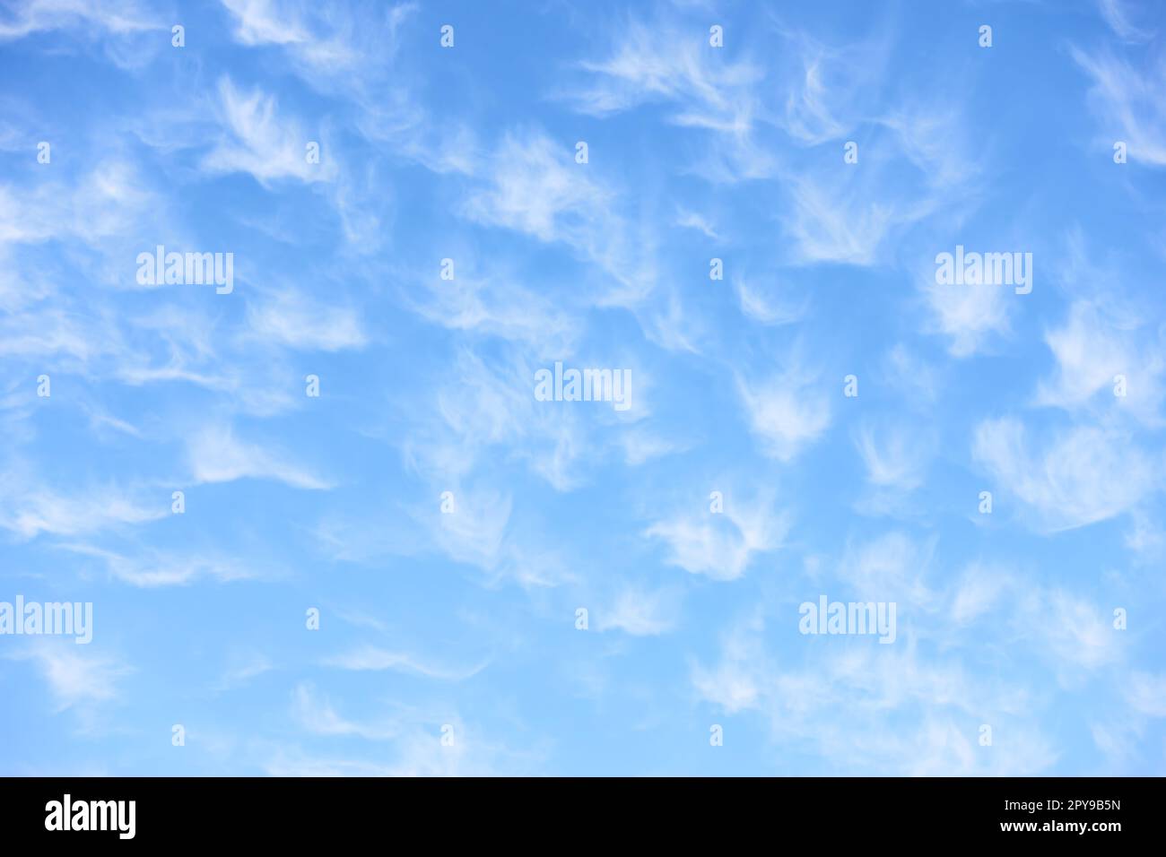 Blauer Himmel mit vielen weißen Fleecy Wolken. Abstrakter Hintergrund Stockfoto