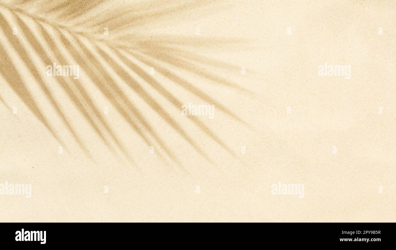 Sandstrand mit Schatten von Palmenblättern. Hintergrund des Reise- und Urlaubskonzepts mit Platz für Ihren eigenen Text Stockfoto