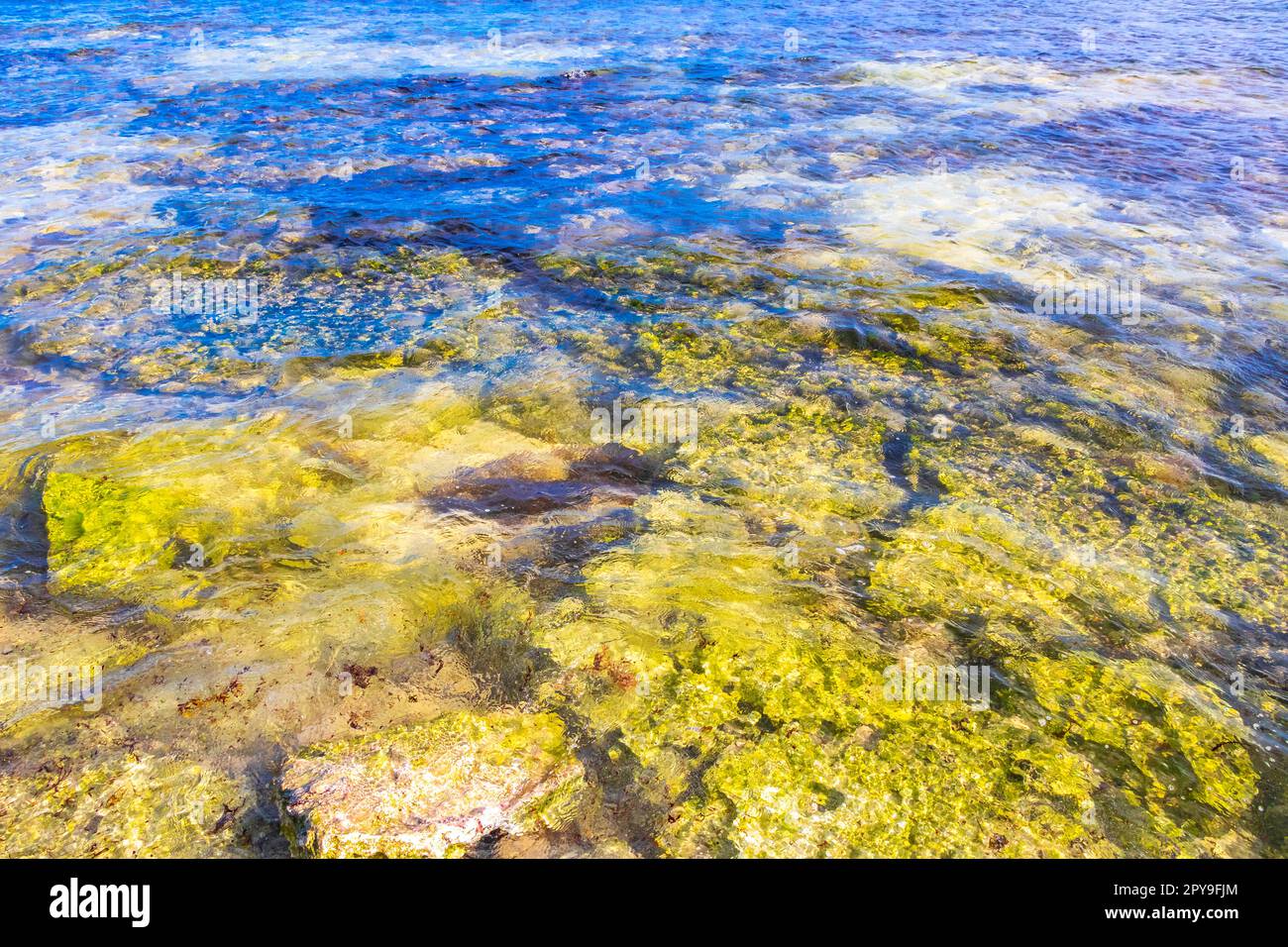 Türkisblaues Wasser mit Steinen, Felsen, Korallen, Strand Mexiko. Stockfoto