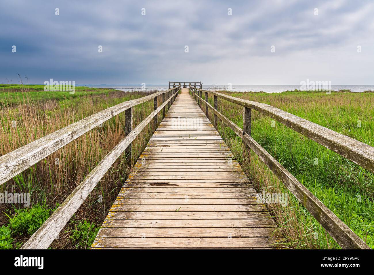 Plank Road in der Nähe Plank Road zu einem Aussichtspunkt nahe Nebel auf der Nordseeinsel Amrum, Deutschland Stockfoto