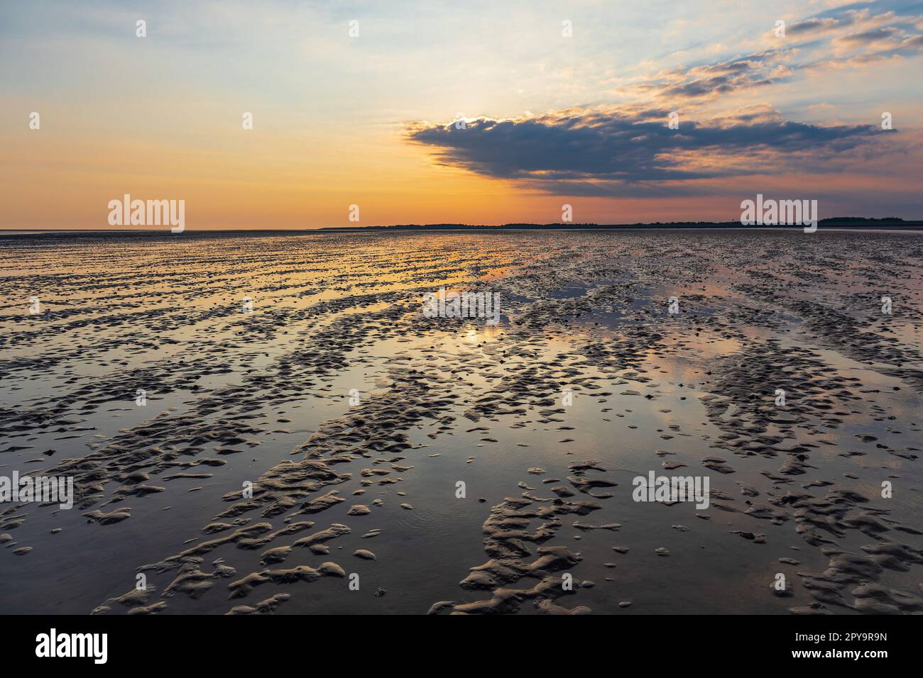 Matsch mit Sonnenaufgang auf der Insel Amrum, Deutschland Stockfoto