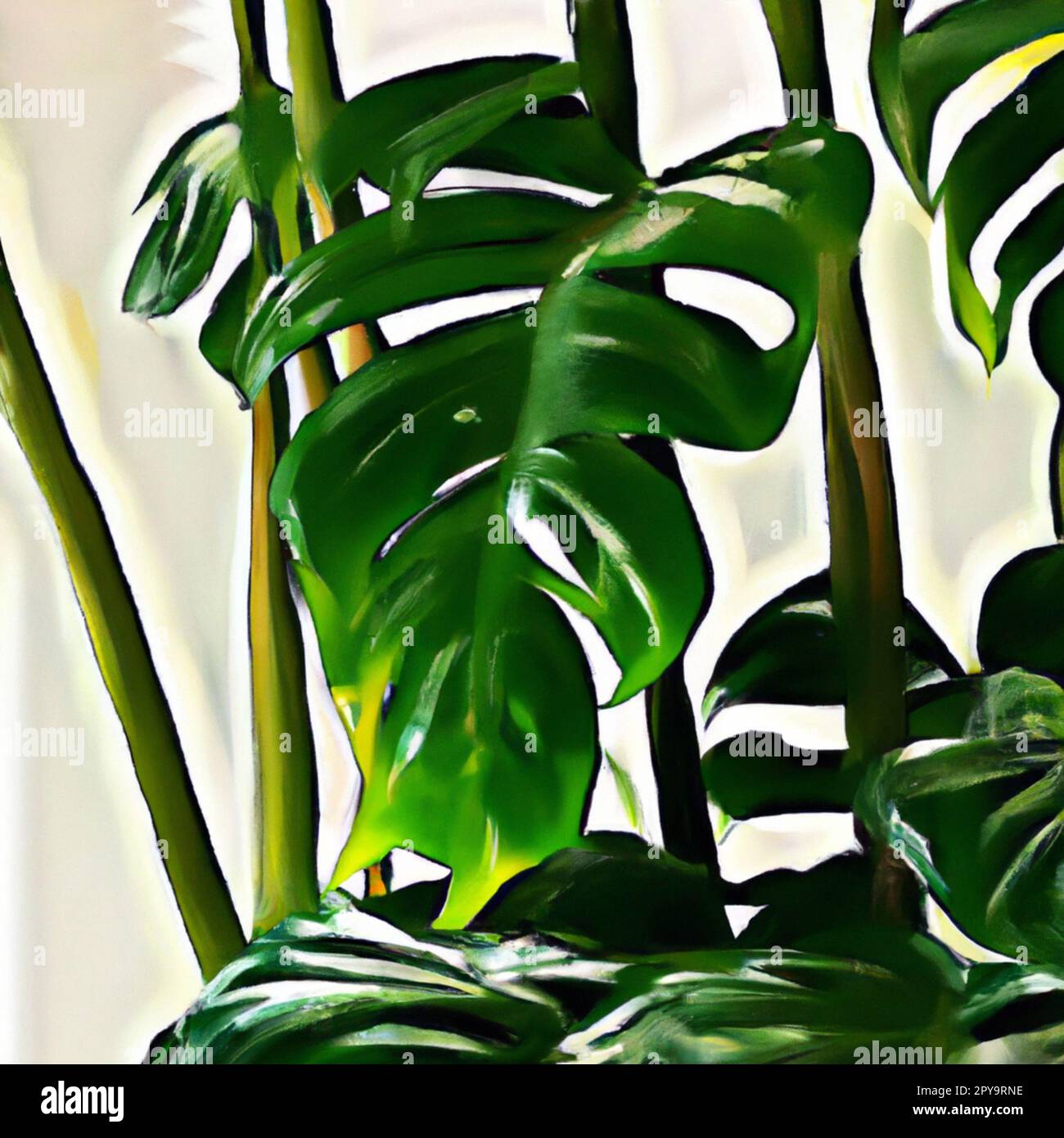 Philodendron ist eine große Gattung blühender Pflanzen der Familie