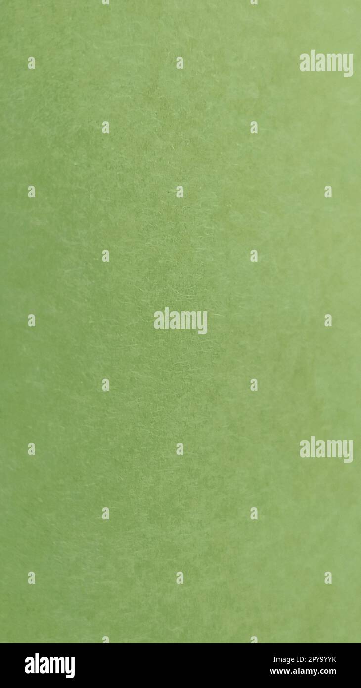 Ein vertikales Blatt hellgrünes Papier. Ruhiges Grün mit feiner Papierstruktur. Beruhigende Innenraumfarbe. Schöne Flohfläche. Speicherplatz kopieren Stockfoto