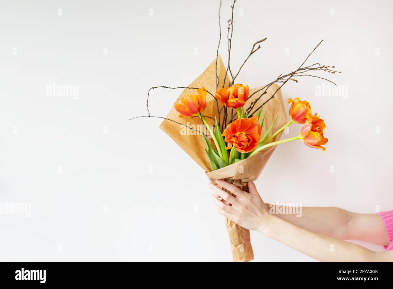 Das Mädchen hält in ihren Händen einen sehr schönen Frühlingsstrauß aus orangefarbenen Pfingstropfen zusammen mit Zweigen junger Kirschen. Stockfoto