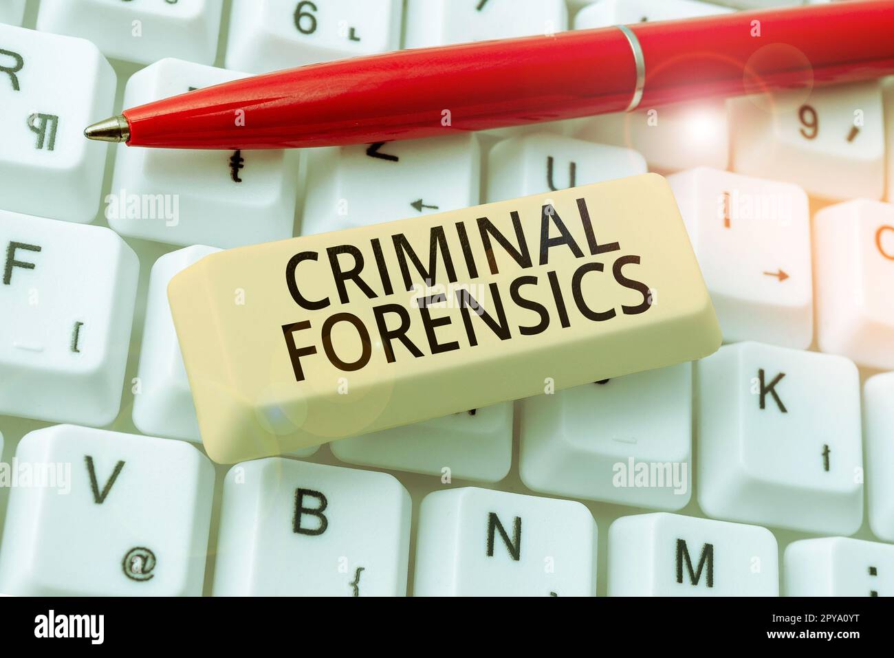 Ein Schild mit der Kriminalkriminalität. Word for Federal Offense Actions illegale Aktivitäten, die gesetzlich bestraft werden Stockfoto