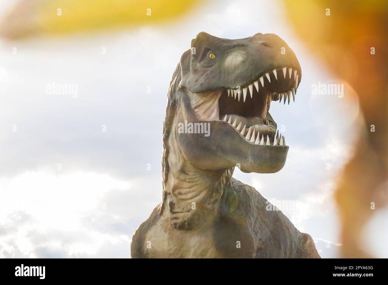 Tyrannosaurus Rex- oder T-Rex-Fotografie mit verschwommenem Vordergrund Stockfoto