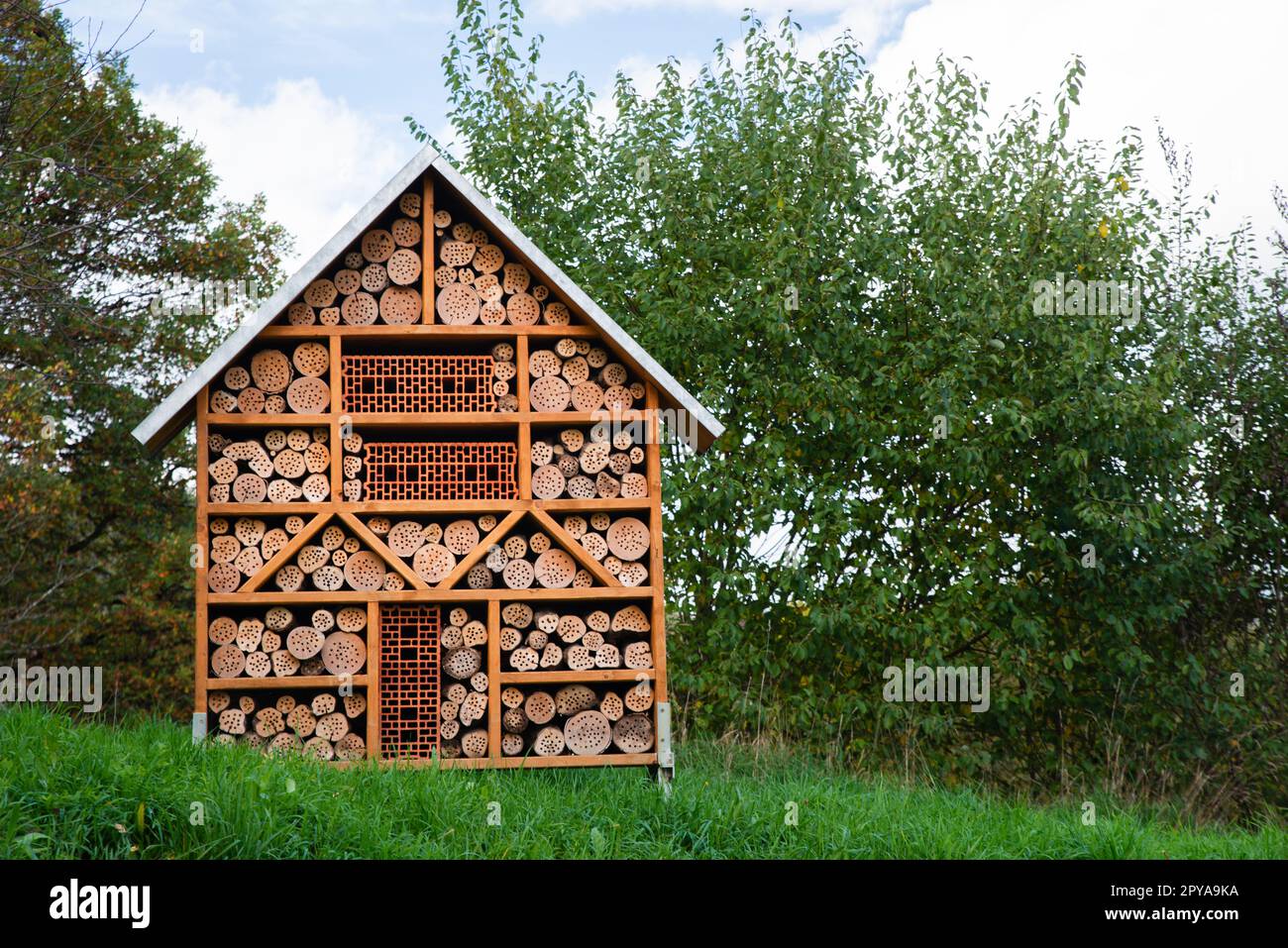 Insekten, Haus, Hotel, Schutz, Ökologie, Umwelt, Wildtiere, Marienkäfer Stockfoto