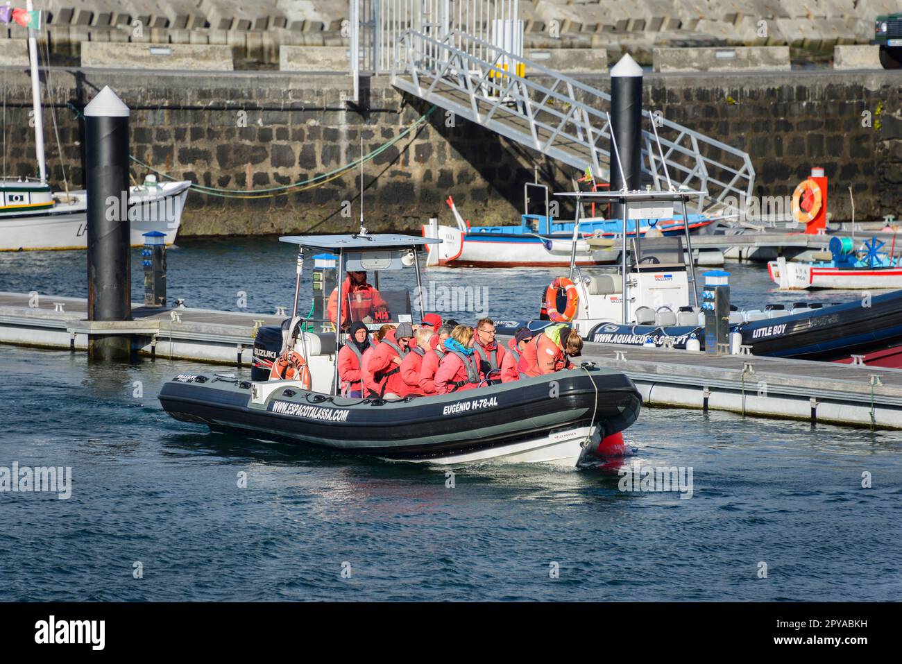 Walbeobachtungsboot, Hafen, Lajes do Pico, Pico, Azoren, Portugal Stockfoto