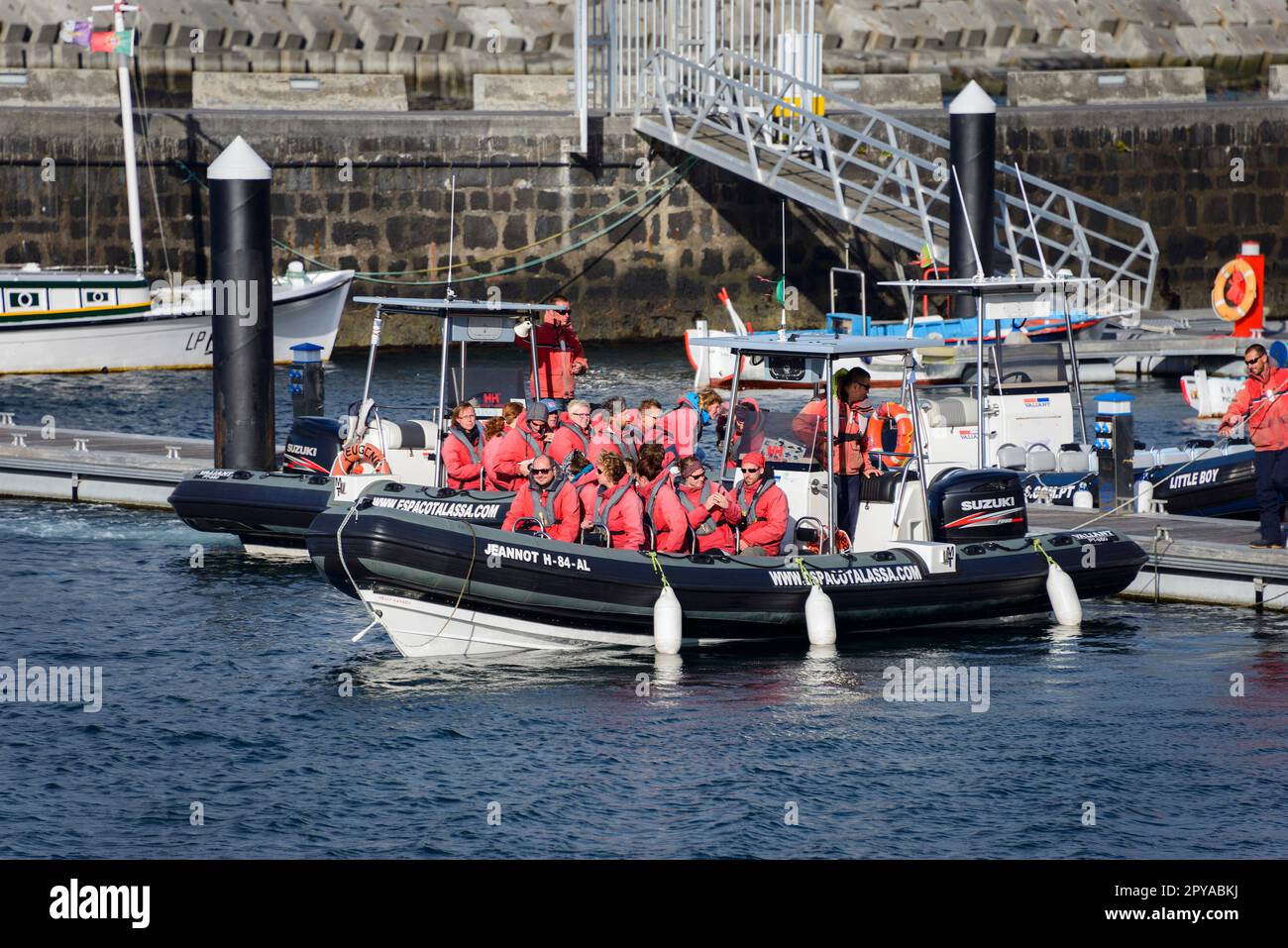 Walbeobachtungsboot, Hafen, Lajes do Pico, Pico, Azoren, Portugal Stockfoto