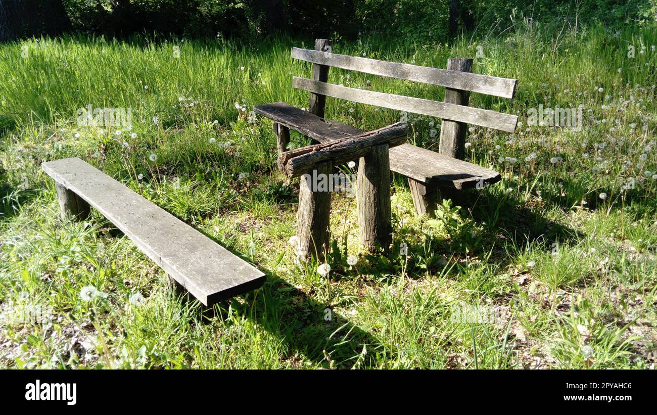 Picknicktisch und Bank aus Holz in einem Wald oder Park Stockfoto