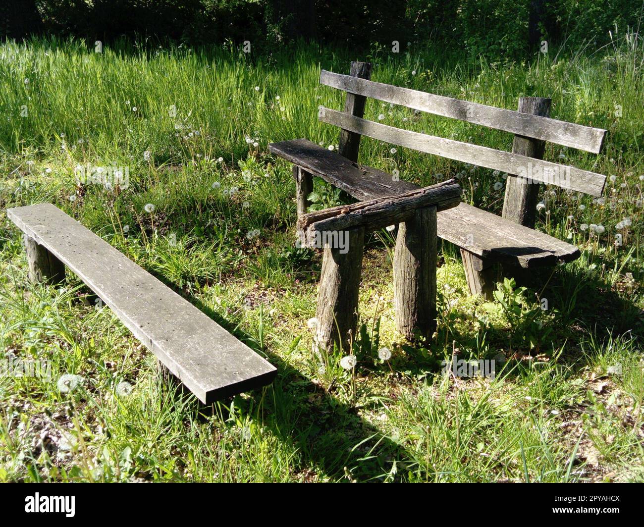 Picknicktisch und Bank aus Holz in einem Wald. Ruhiger Ort. Sommer und grünes Gras Stockfoto
