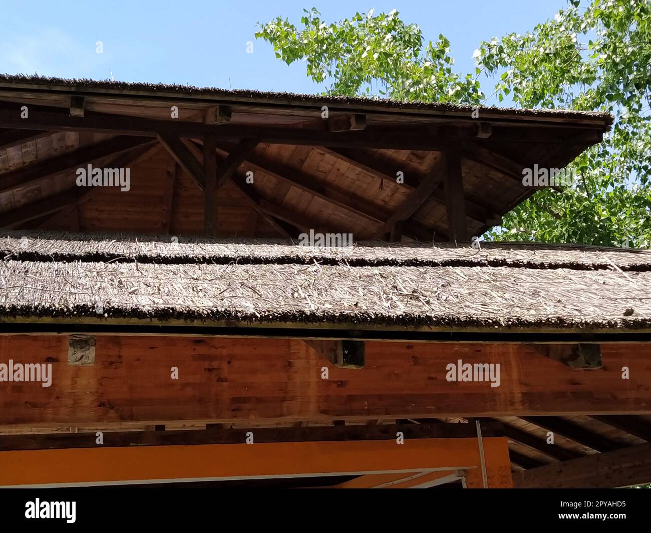Reeddach in einem modernen Holzgebäude. Das Dach besteht aus umweltfreundlichen natürlichen Materialien wie Schilf oder Stroh. Beschichtung für Feuergefahr durch Reed-Beschichtung Stockfoto