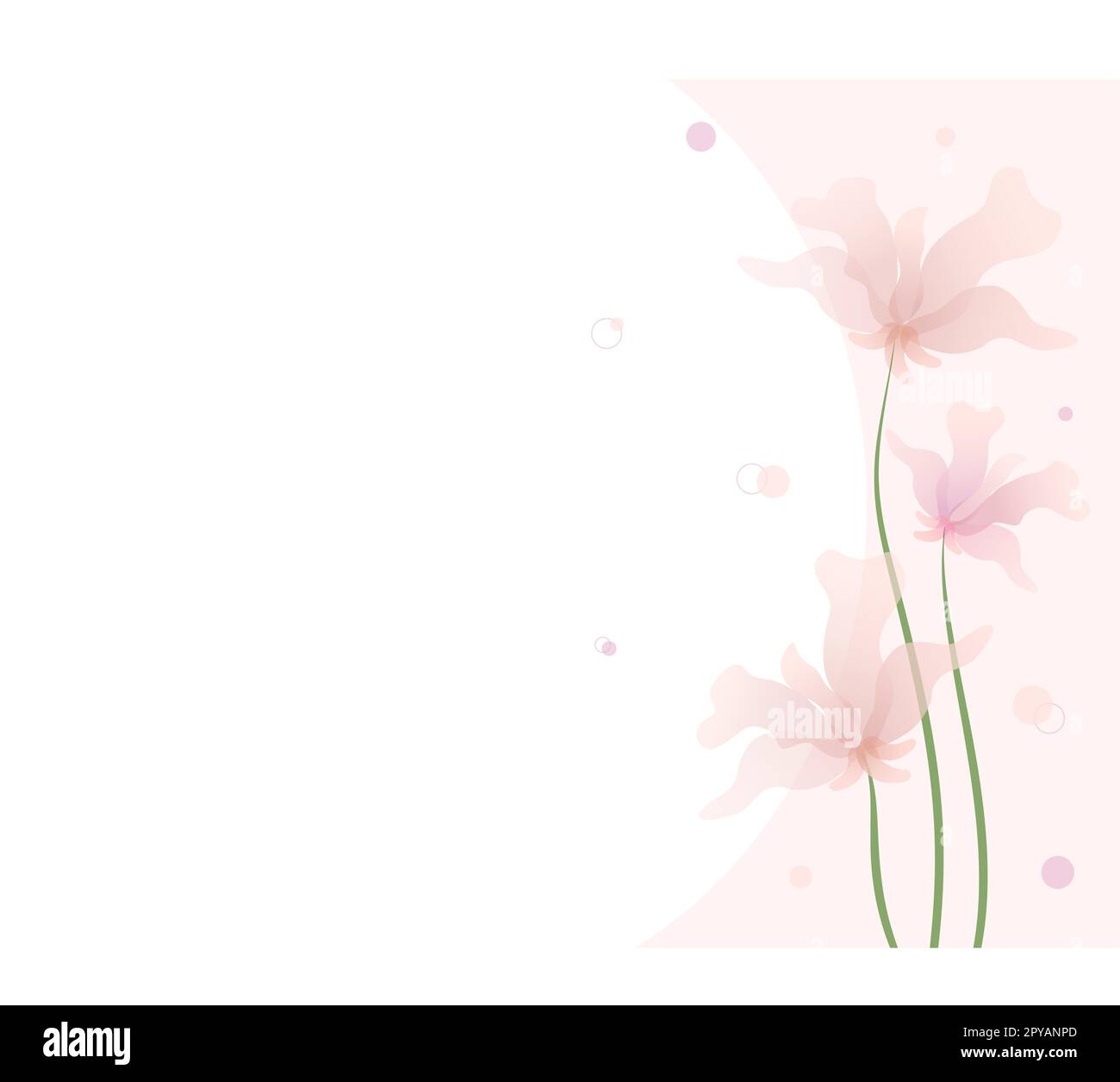 Postkartenhintergrund mit pinkfarbenen, durchsichtigen, zarten Blumen auf einem Stamm und Pollen. Rosafarbener und weißer Hintergrund. Vektor. EPS10. Stock Vektor