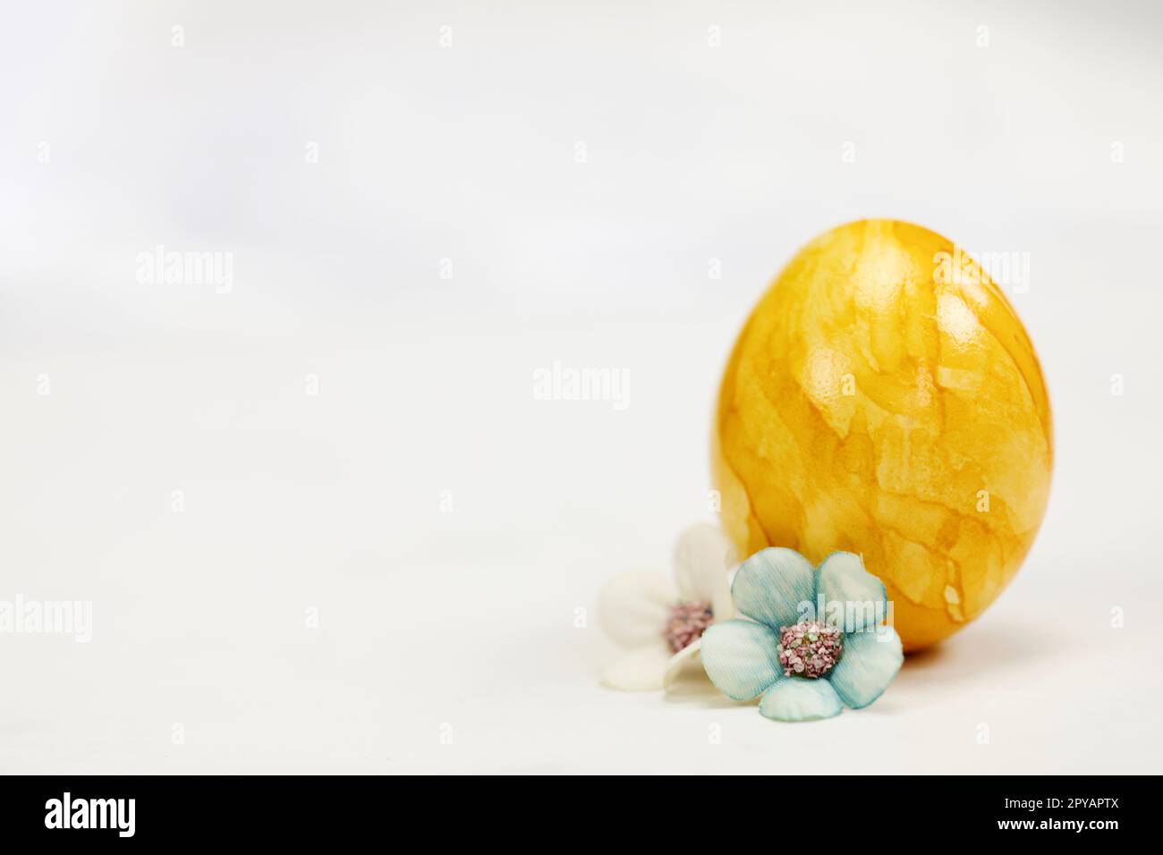 Ostereier in Pastelltönen auf weißem Hintergrund mit Kopierbereich und süßen Frühlingsblumen, Konzept für frohe Osterferien mit Platz für Text. Gelb, rosa und blau Stockfoto