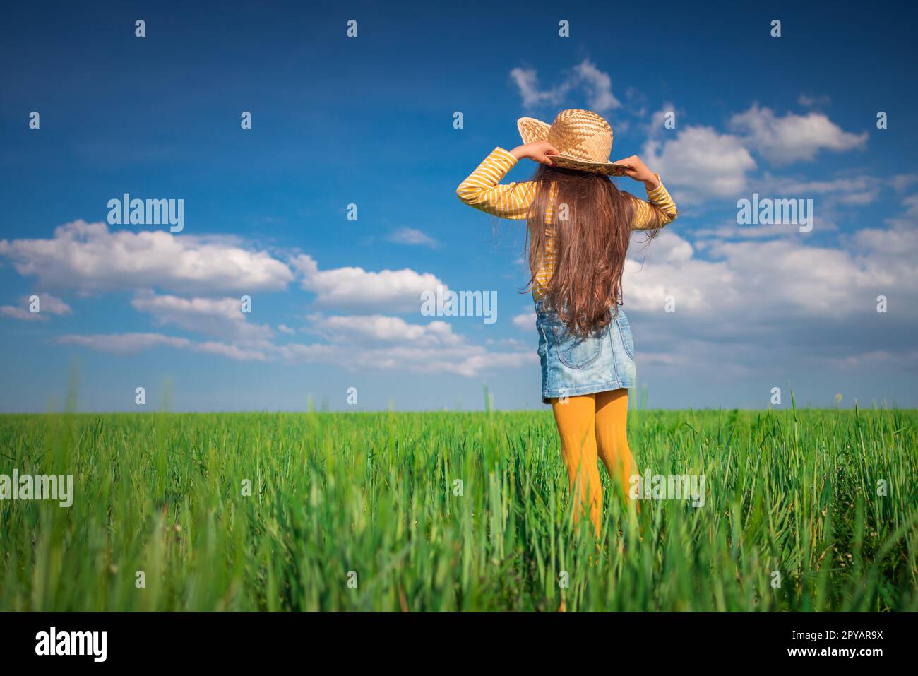Grüne Weizenfeld-Landschaft und glückliches Bauernmädchen, das mit Strohhut spielt Stockfoto
