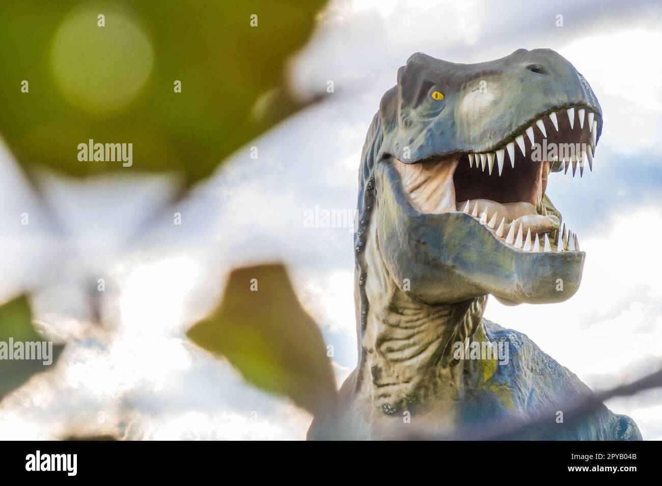 Gruselige Tyrannosaurus-Rex- oder T-Rex-Fotografie mit verschwommenem Vordergrund Stockfoto