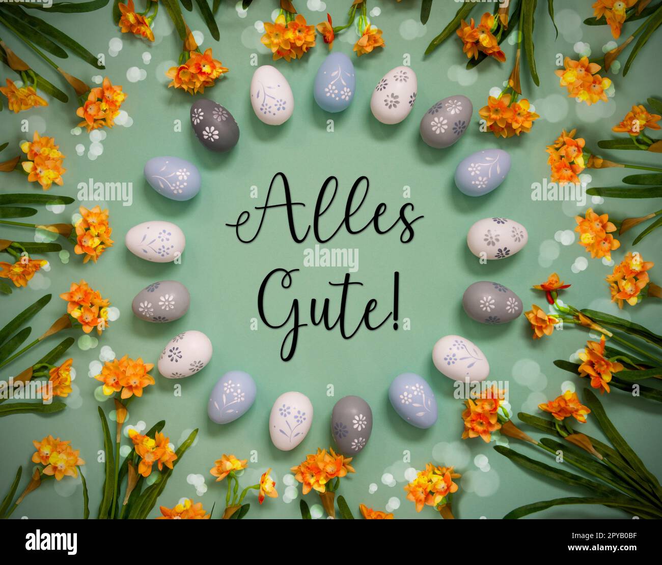 Ostereier, Frühlingsblumen, Text Alles Gute Bedeutet „Best Wishes“ Stockfoto