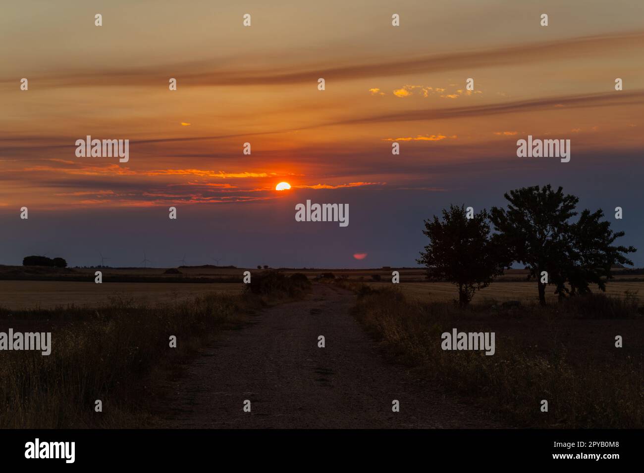 Sonnenuntergang auf dem Ackerland von Navarra Stockfoto