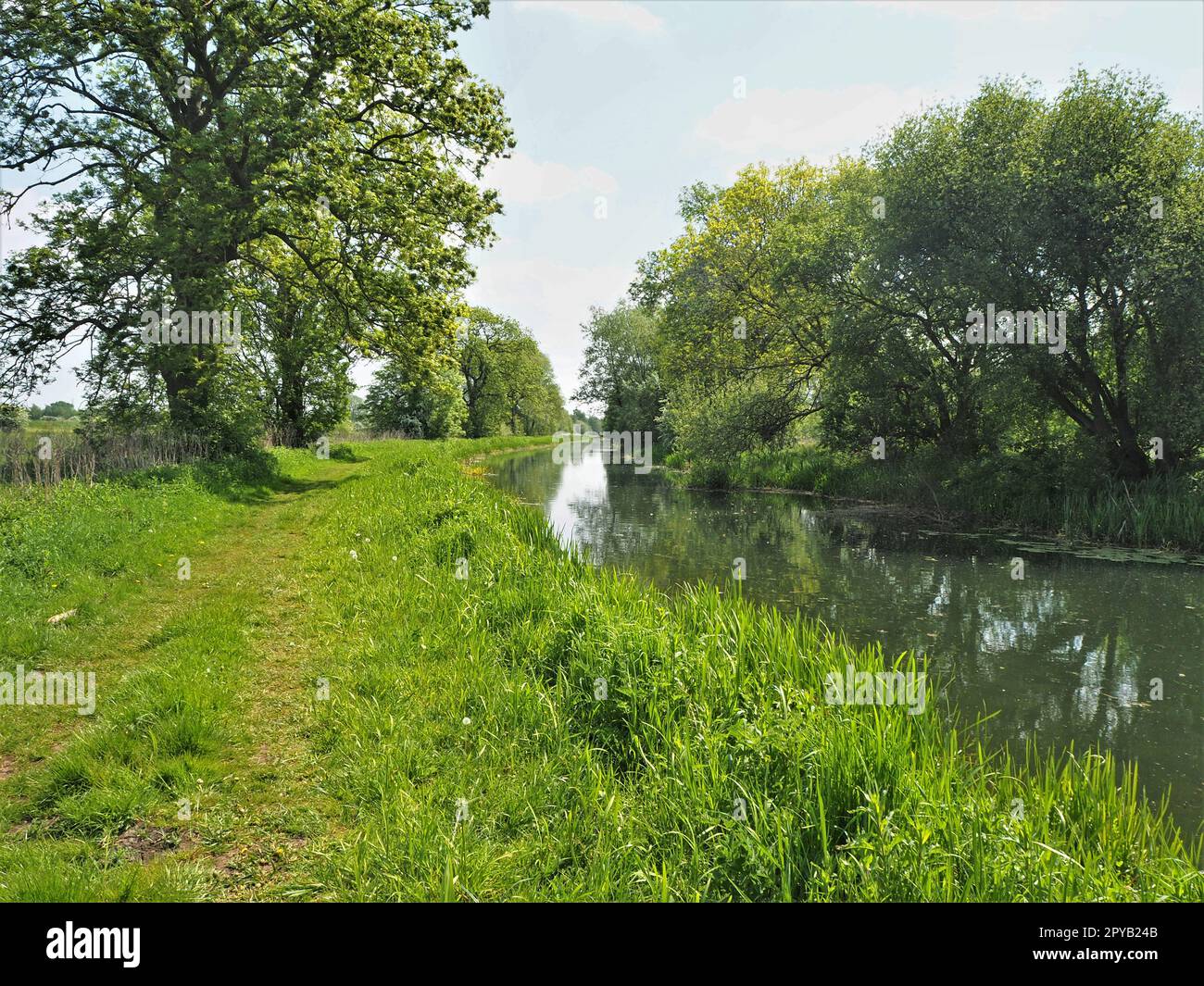 Fußweg am Pocklington Canal, East Yorkshire, England Stockfoto