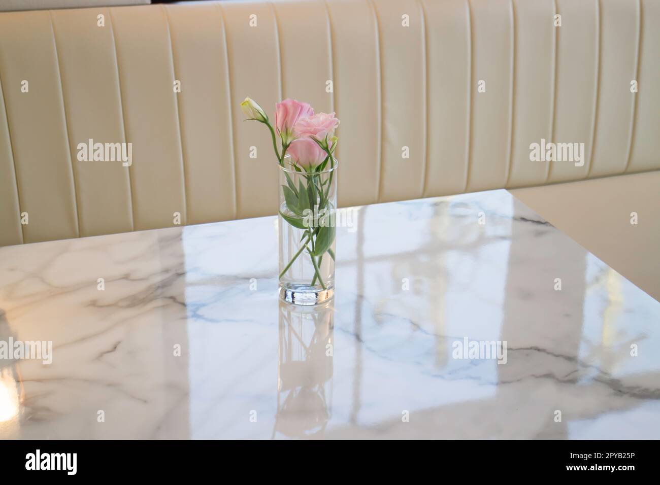 Rosa Rose in Vase auf dem Tisch Stockfoto