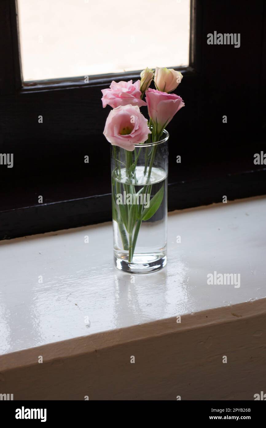 Rosa Rose in Vase auf dem Tisch Stockfoto