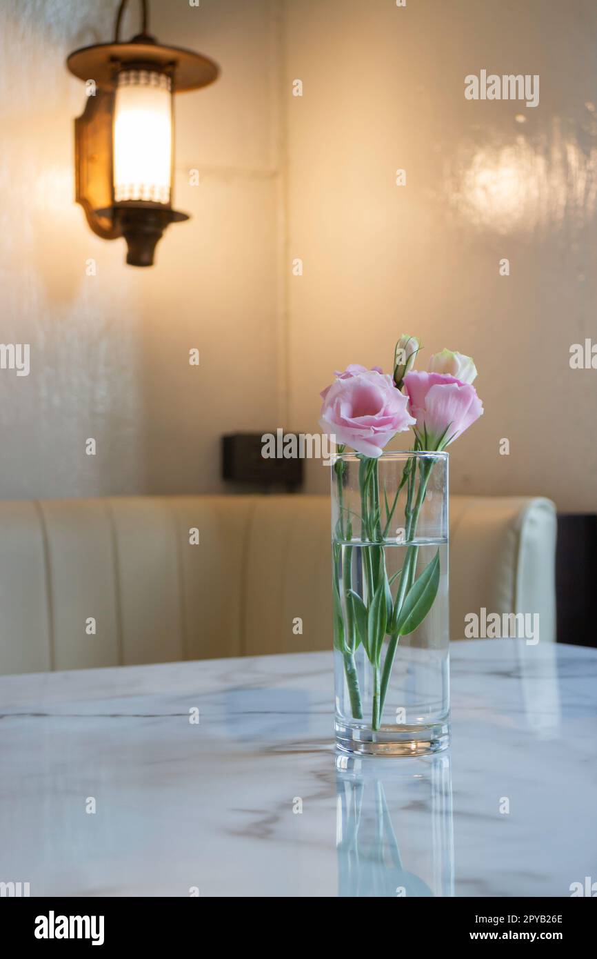 Rosa Rose in Vase auf dem Tisch Stockfoto