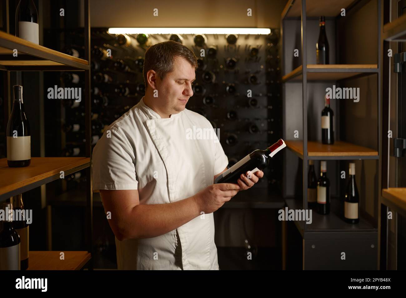 Sommelier-Experte hält eine Glasflasche und wählt Wein im Keller aus Stockfoto