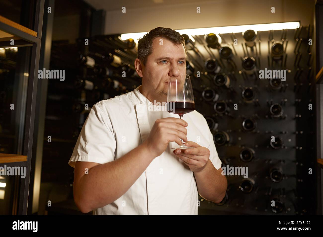 Sommelier-duftender Wein in transparentem Glas zur Qualitätskontrolle Stockfoto