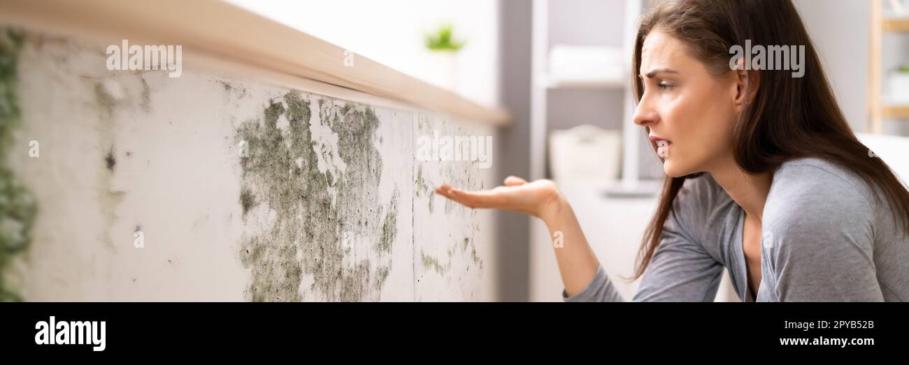 Frau auf der Suche nach Schimmel an der Wand Schockiert Stockfoto