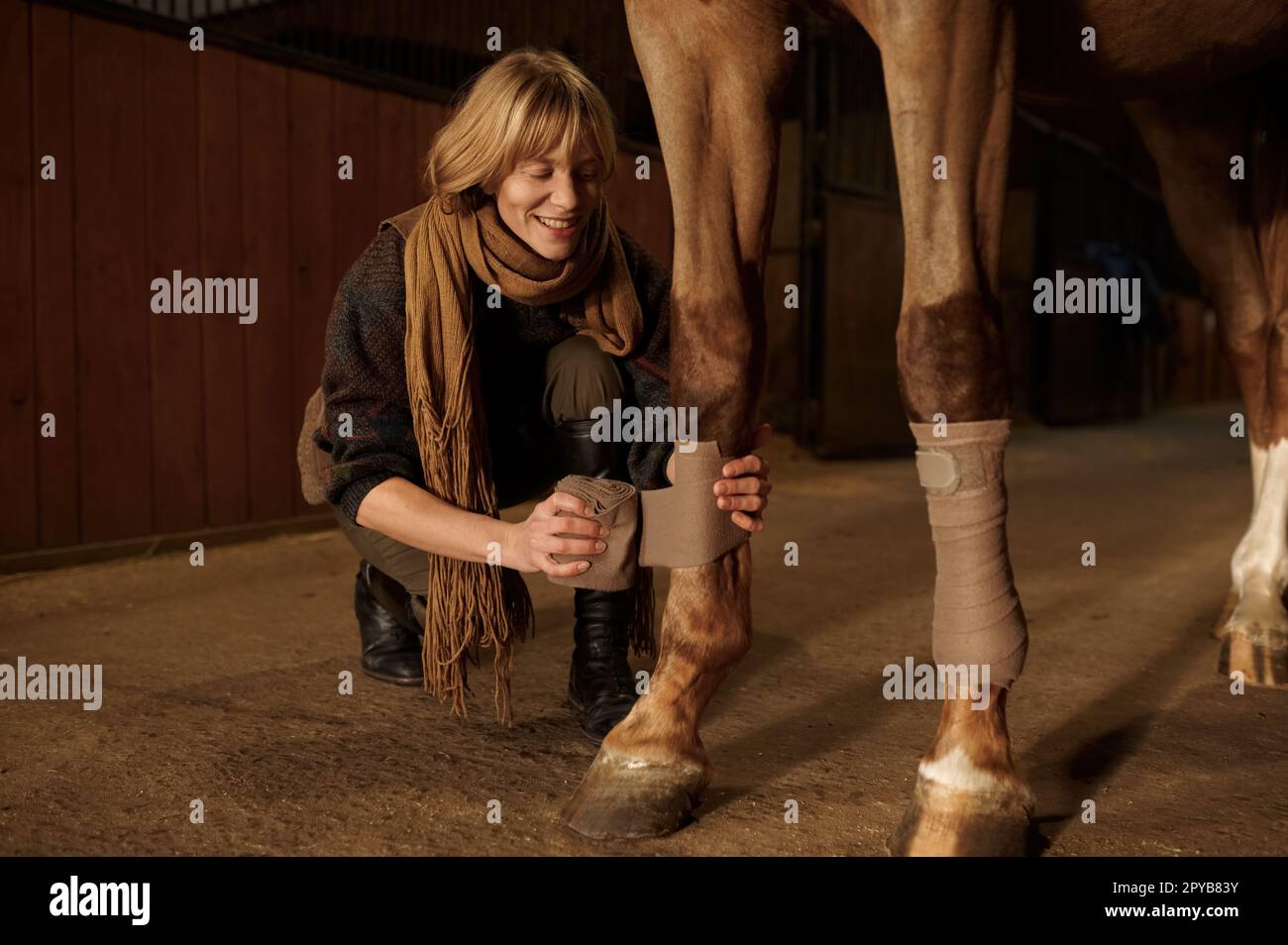 Eine Pferdebesitzerin, die ein Tierbein verbandt, um Verletzungen zu vermeiden Stockfoto