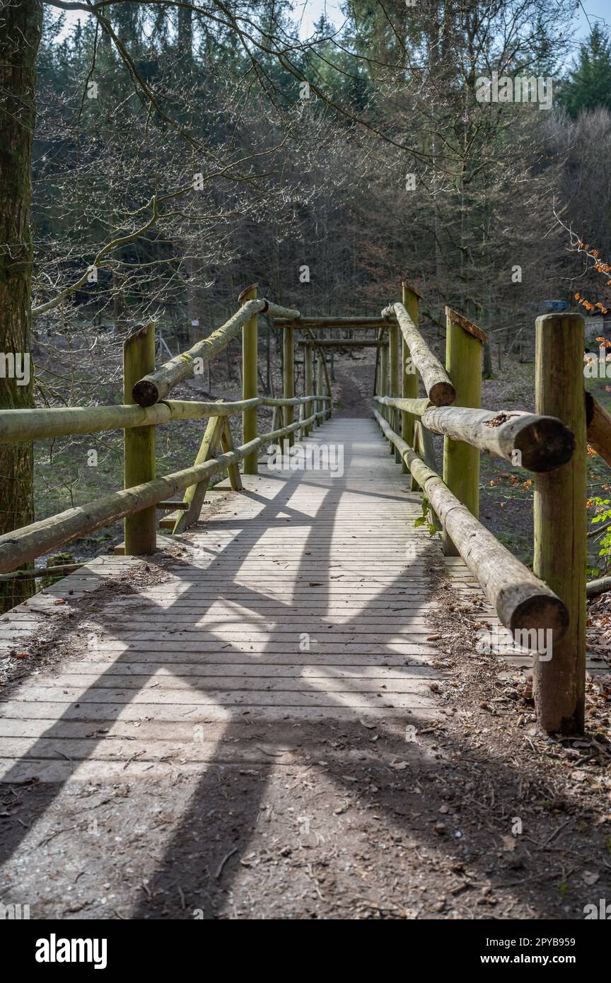 Holzbrücke im Wald in einem öffentlichen Park, vertikaler Schuss Stockfoto