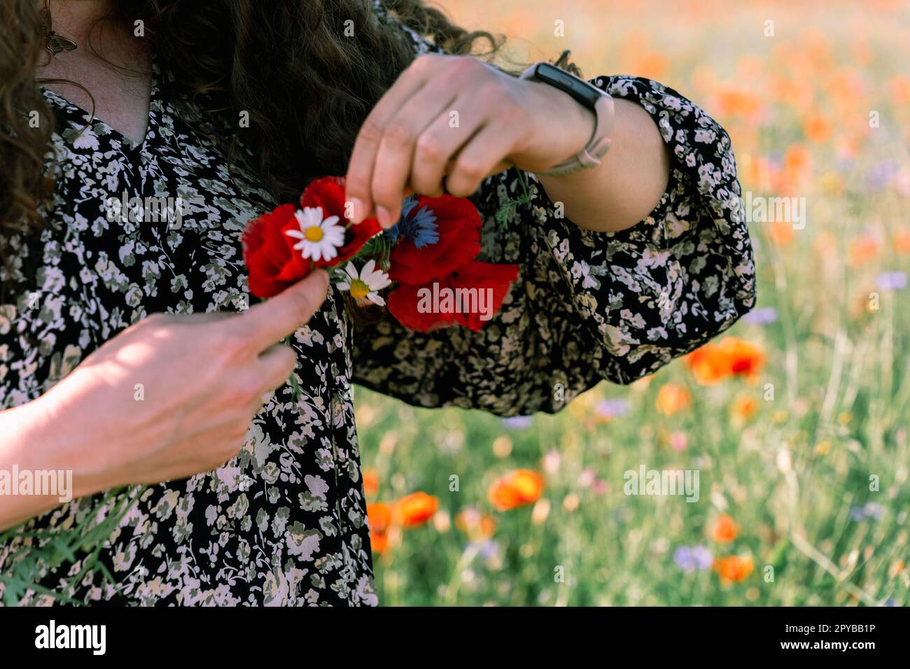Nahaufnahme von Frauenhänden, die einen Kranz aus Mohn, Gänseblümchen und Maisblumen weben Stockfoto