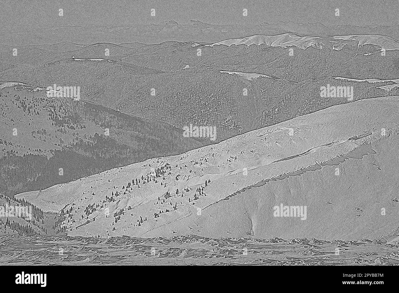 Karpaten schneebedeckte Berge mit Fichten, die handgezeichnete Zeichnungen eingravieren Stockfoto